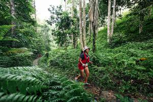 BIB: 
                            <button type="button" onclick="openModal(26408906)" class="btn btn-primary btn-sm float-right btn-popup" data-toggle="modal" data-target=".modal-high-quality">
                        <i class="fas fa-shopping-cart"></i> Add to Cart
                    </button>
                                            <button type="button" onclick="isThisMe(26408906, true)" class="btn btn-success btn-sm float-right btn-popup btn-isme hidden" data-toggle="tooltip" data-placement="bottom" title="นี่คือรูปของคุณใช่ไหม คลิกที่นี่เพื่อเอาเข้าอัลบั้ม">
                        <i class="fas fa-plus"></i> Add to album
                    </button>
                    <button type="button" onclick="isThisMe(26408906, false)" class="btn btn-warning btn-sm float-right btn-popup btn-isnotme hidden">
                        <i class="fas fa-ban"></i> Remove from album
                    </button>